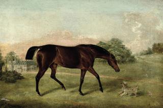 Edwin Frederick Holt - Chicken Hazard, winner of the Bath & West of England Show