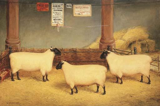 Edwin Frederick Holt - The Marquis of Bristol\'s Prize Winning Suffolk Sheep