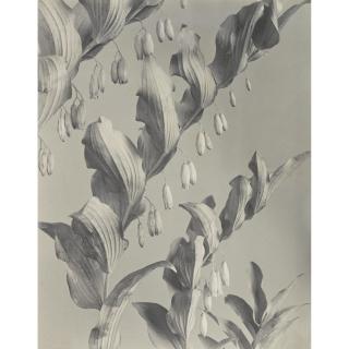 Edwin Hale Lincoln - \'Wild Flowers Of New England, Photographed From Nature. Vol. Ii. Honeysuckle And Lily Families\'