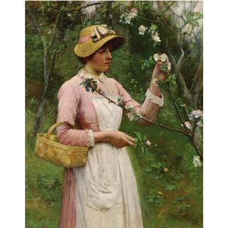 Edwin Harris - Apple Blossom