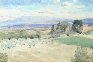 Edwin John - Olive Grove, Provence