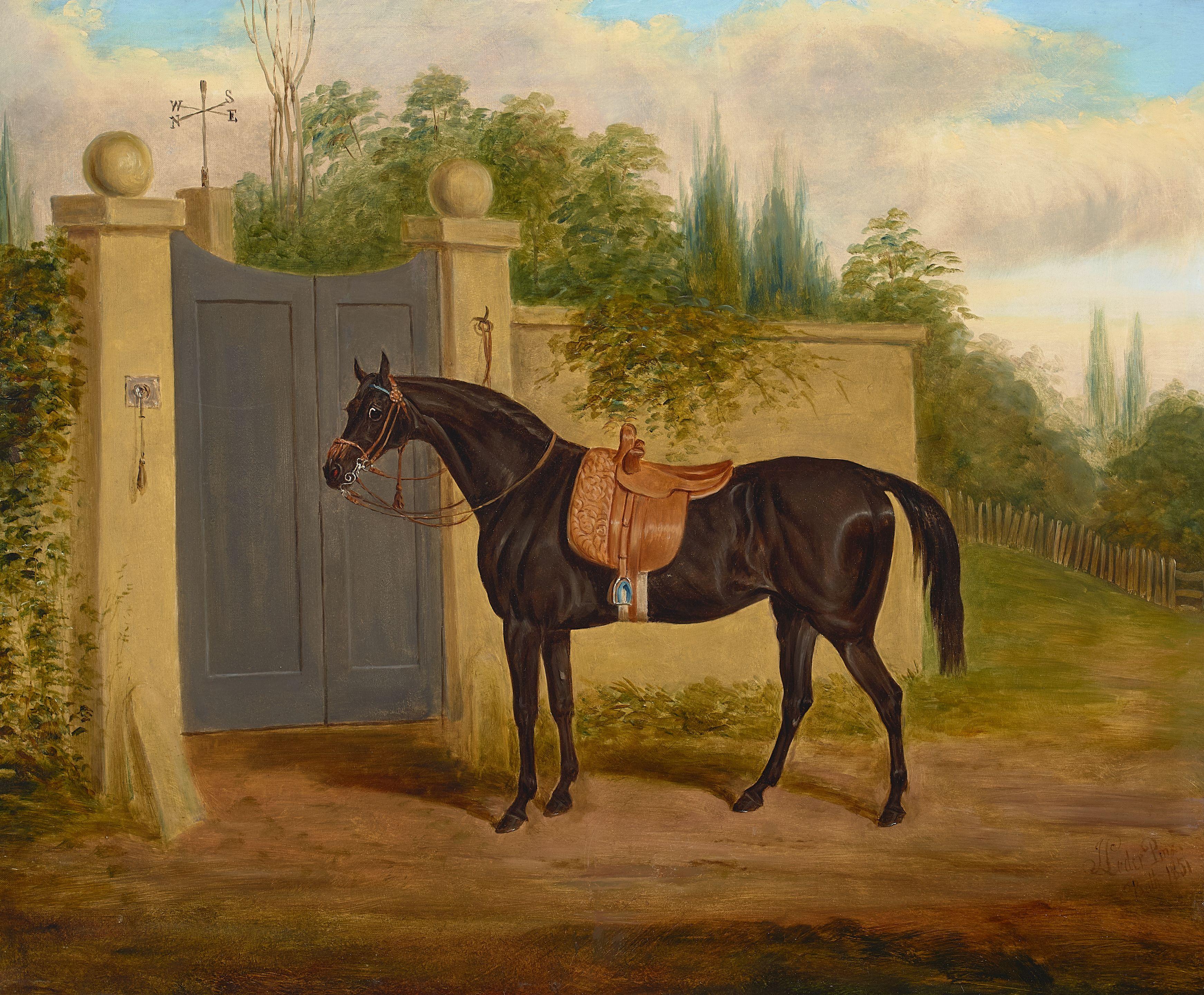 Edwin Loder of Bath - A black horse waiting to enter