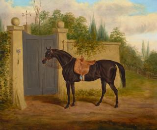 Edwin Loder of Bath - A black horse waiting to enter