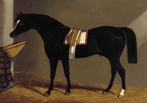 Edwin Loder Of Bath - A Saddled Dark Brown Hunter In A Stable