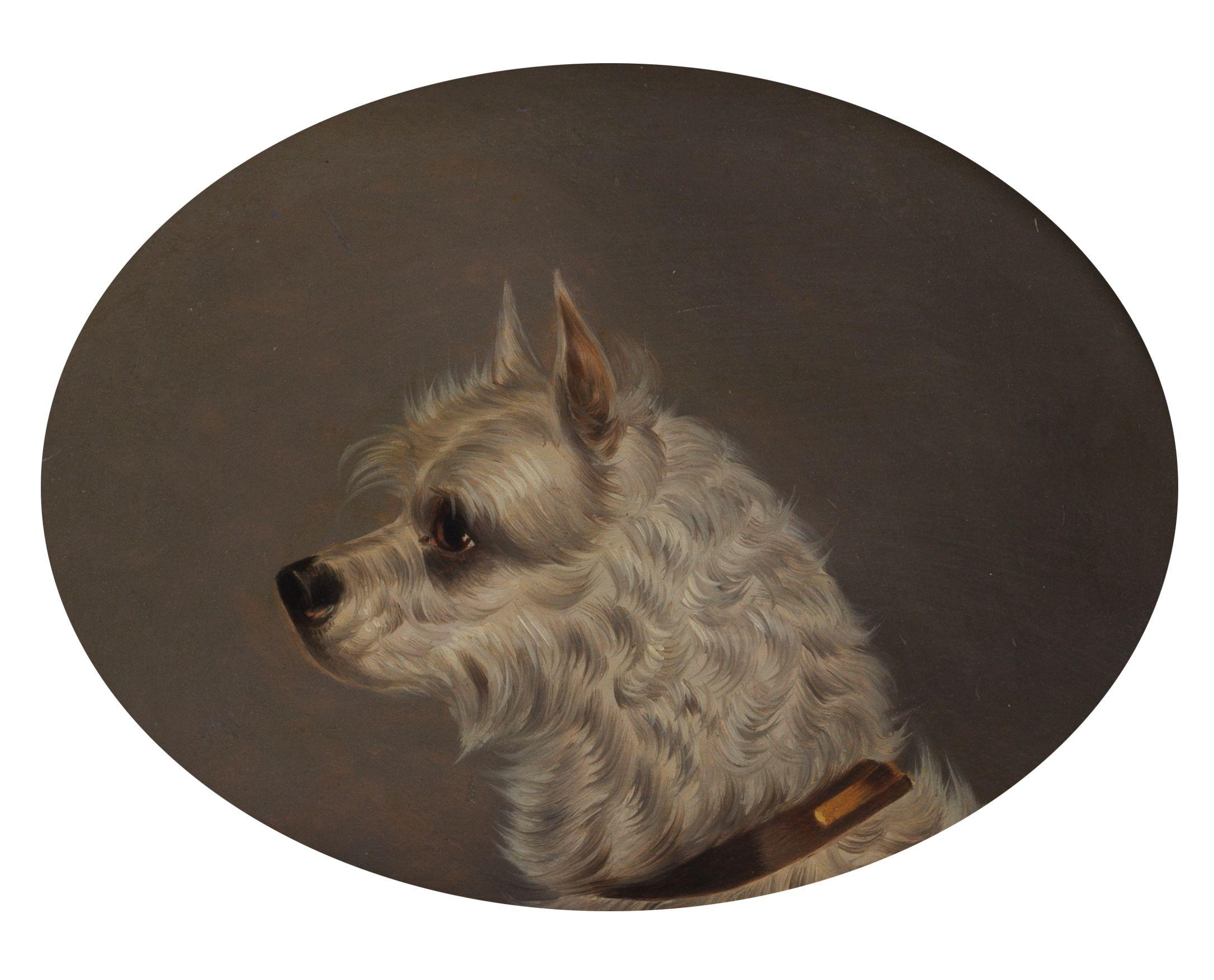 Edwin Loder Of Bath - Head of a White Terrier