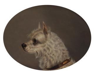 Edwin Loder Of Bath - Head of a White Terrier