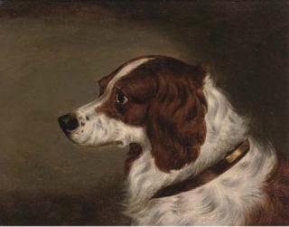 Edwin Loder of Bath - The Head of A Spaniel; And The Head of Gundog