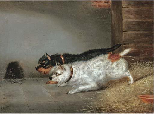 Edwin Loder - An Elusive Quarry