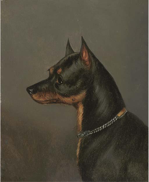 Edwin Loder - Head of A Terrier