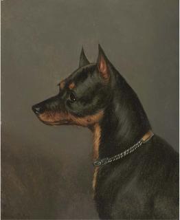 Edwin Loder - Head of A Terrier