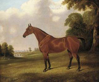 Edwin M. Fox - A bay hunter in a landscape