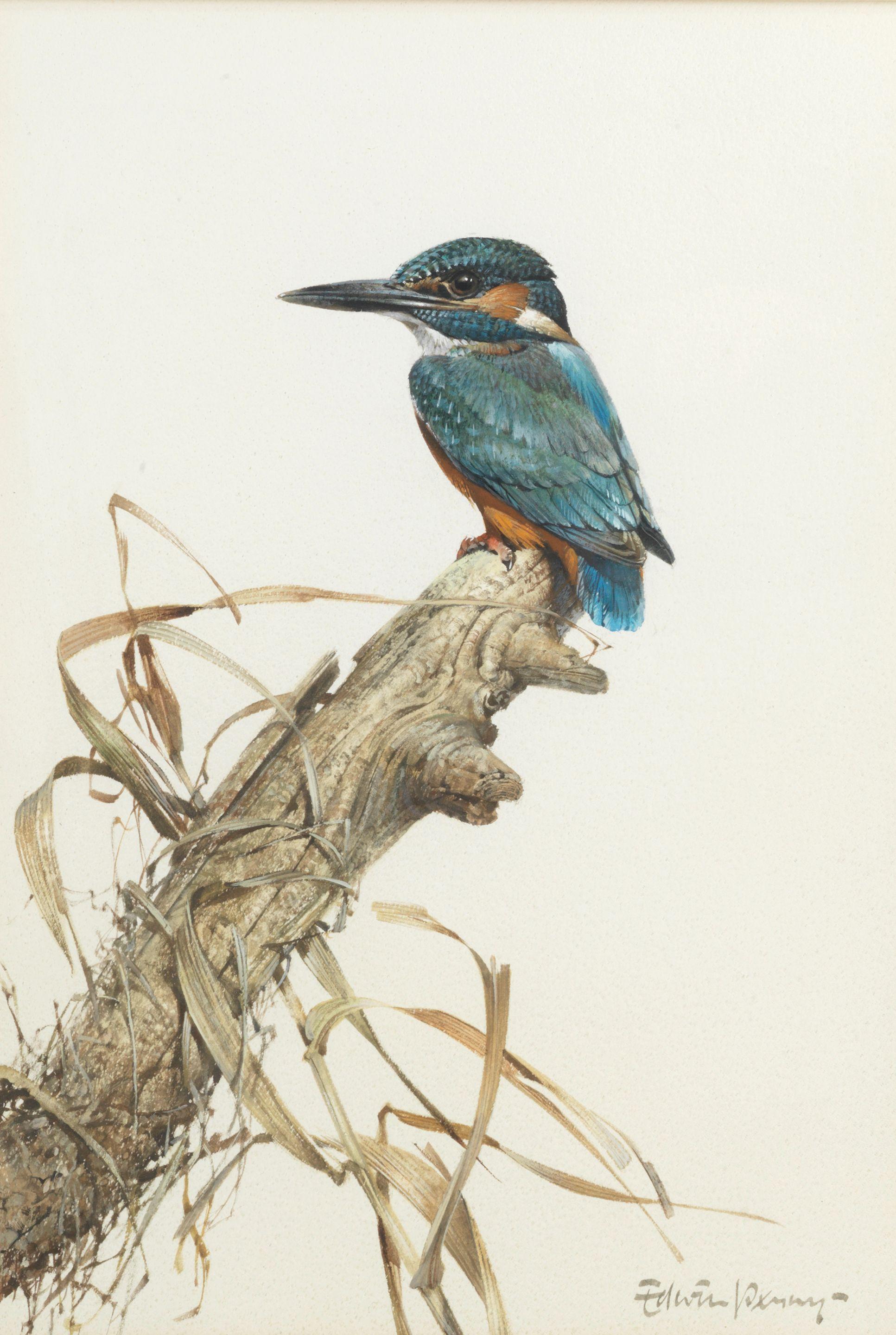 Edwin Penny - Kingfisher; Waxwing, a pair both 40.3 x 27.3cm (15 7/8 x 10 3/4in). (2)