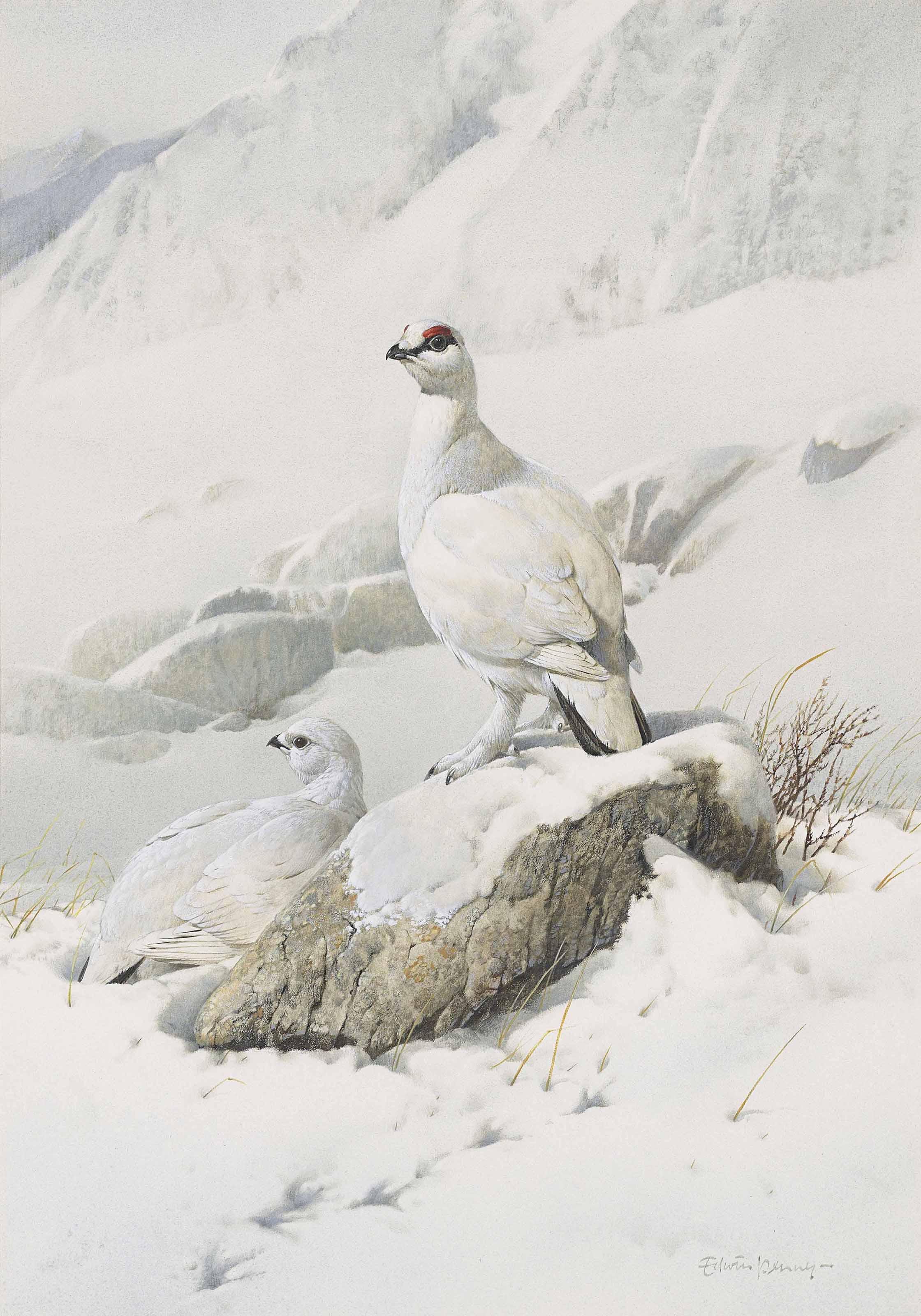 Edwin Penny - Ptarmigan In A Winter Landscape