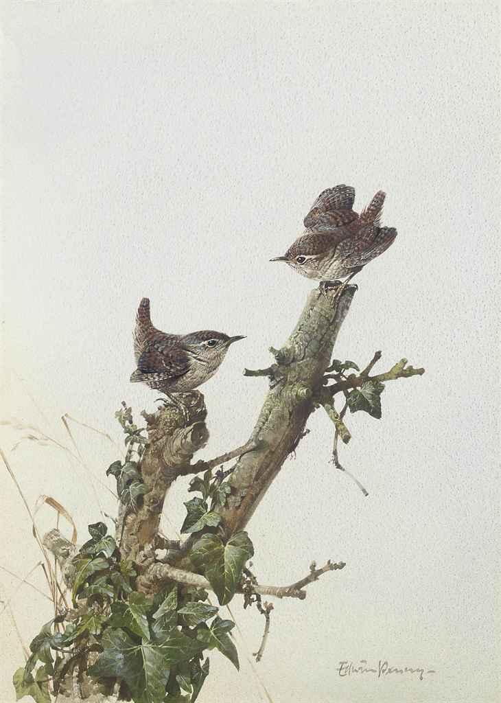 Edwin Penny - Two wrens perched on a tree stump