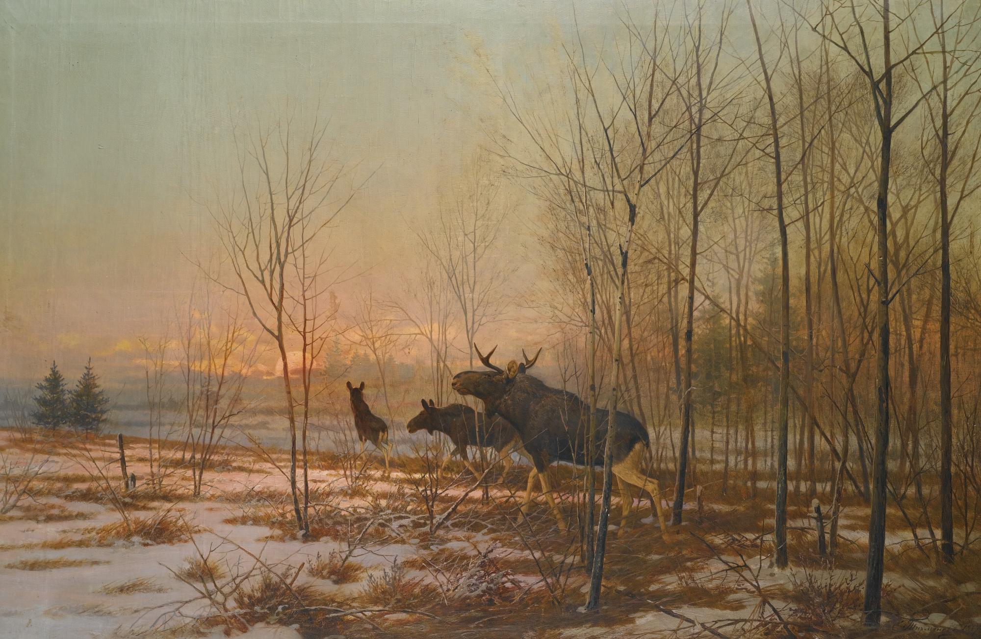 Efim Alexandrovich Tikhmenev - Elk In A Forest