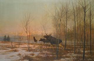 Efim Alexandrovich Tikhmenev - Elk In A Forest