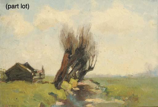 Egnatius Ydema - Trees in a polder landscape