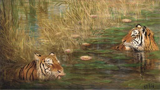 Eike N. Redel - Two tigers bathing