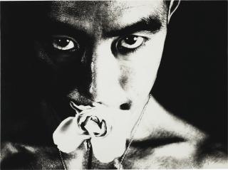 Eikoh Hosoe - Ordeal by Roses #32, 1961
