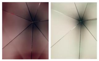 Eileen Quinlan - Shalimar #2 and Shalimar #8