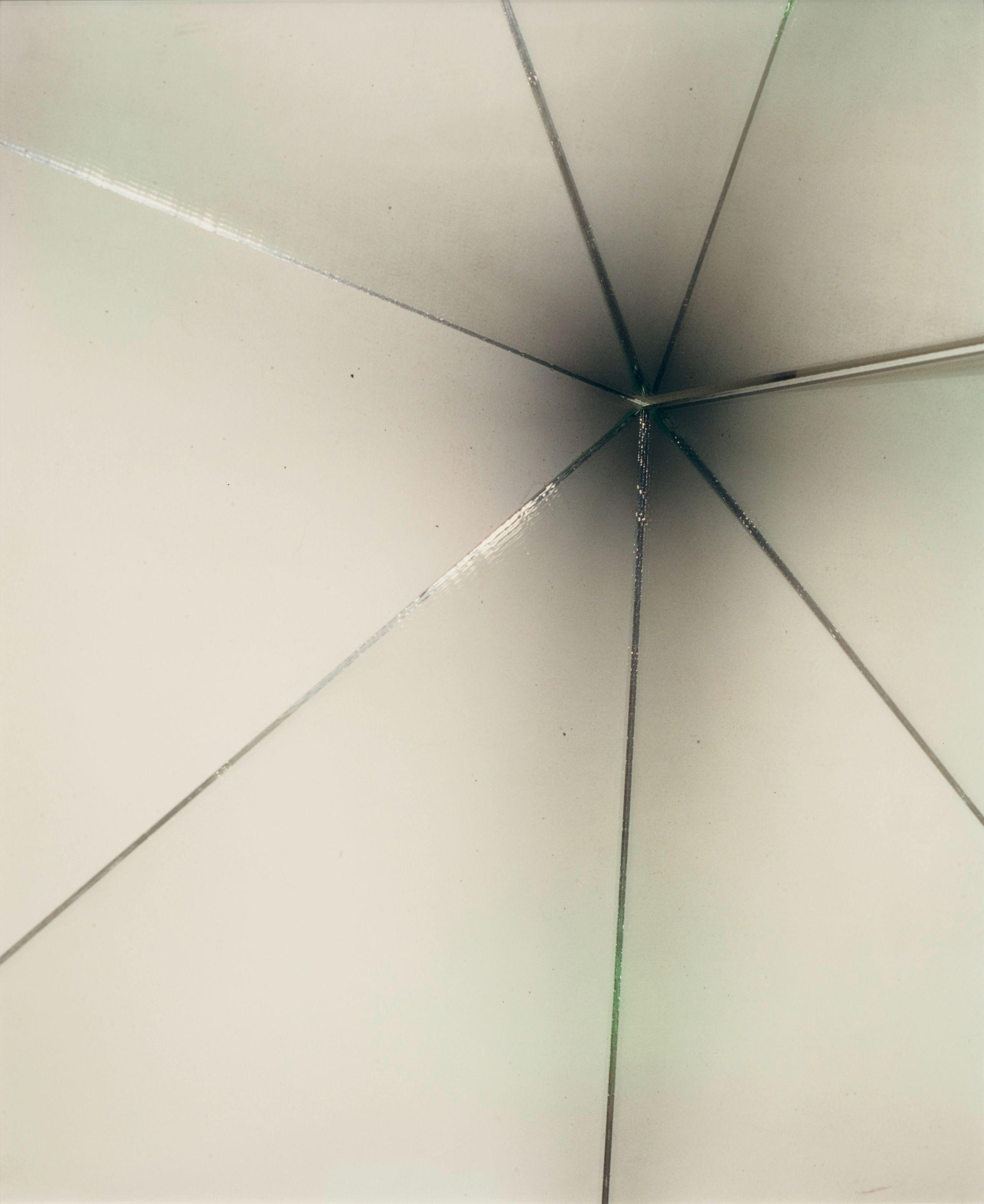 Eileen Quinlan - Shalimar #2