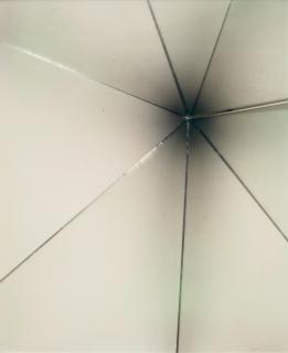 Eileen Quinlan - Shalimar #2