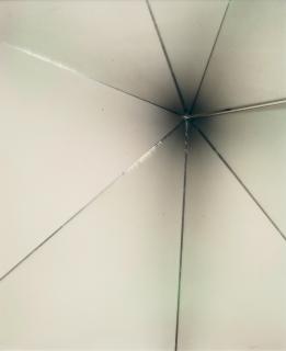 Eileen Quinlan - Shalimar #2