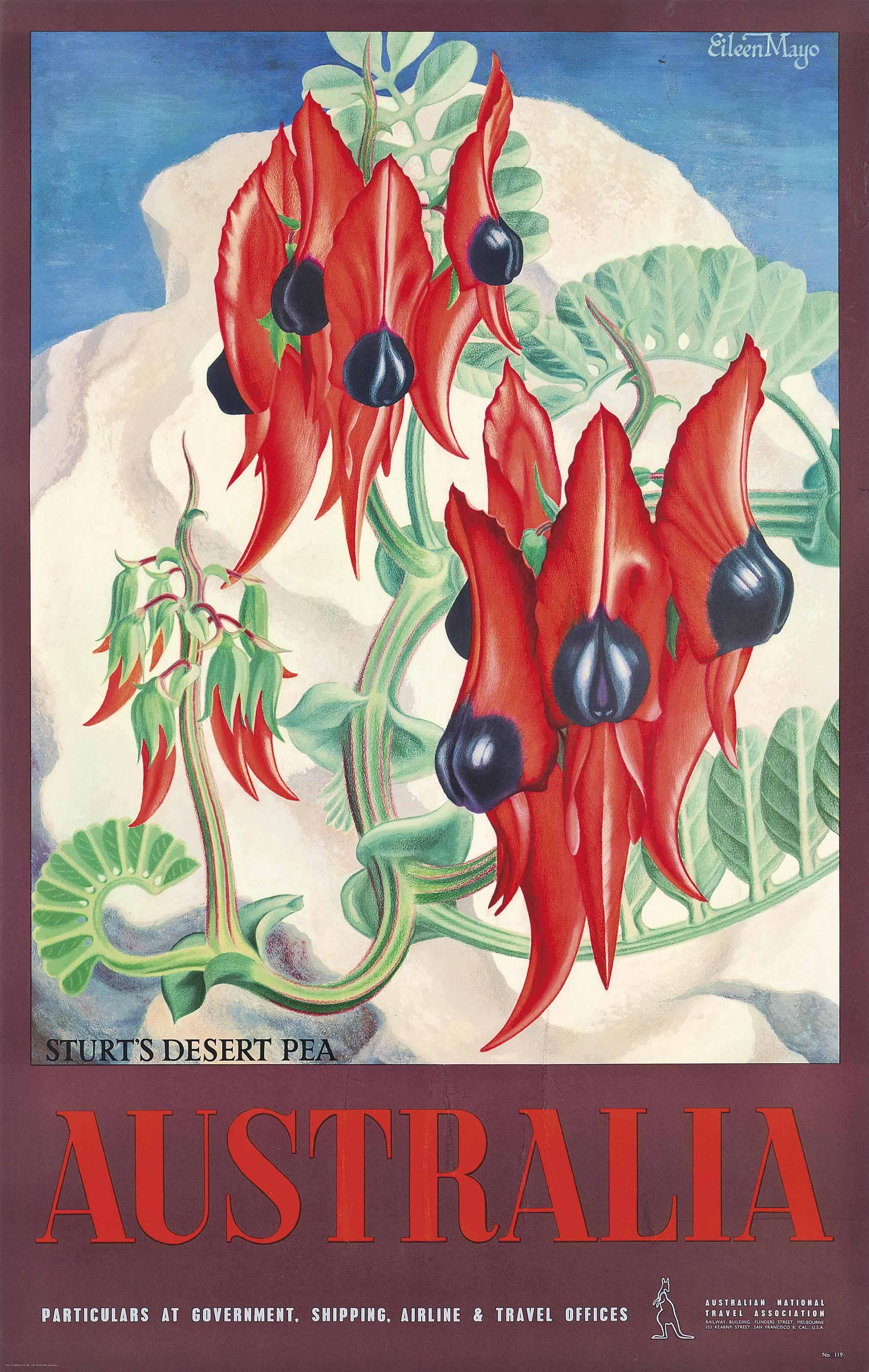 Eileen Rosemary Mayo - Australia, Sturt\'S Desert Pea
