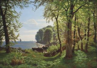 Eiler Rasmussen Eilersen - A hidden woodland cove