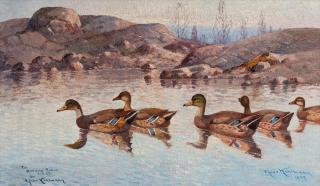 Ejnar Kohlmann - A Family Of Wild Ducks.