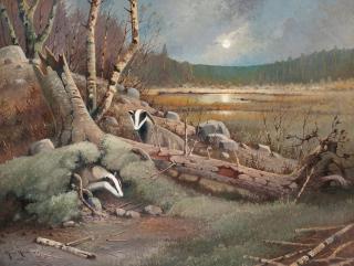 Ejnar Kohlmann - Badgers.