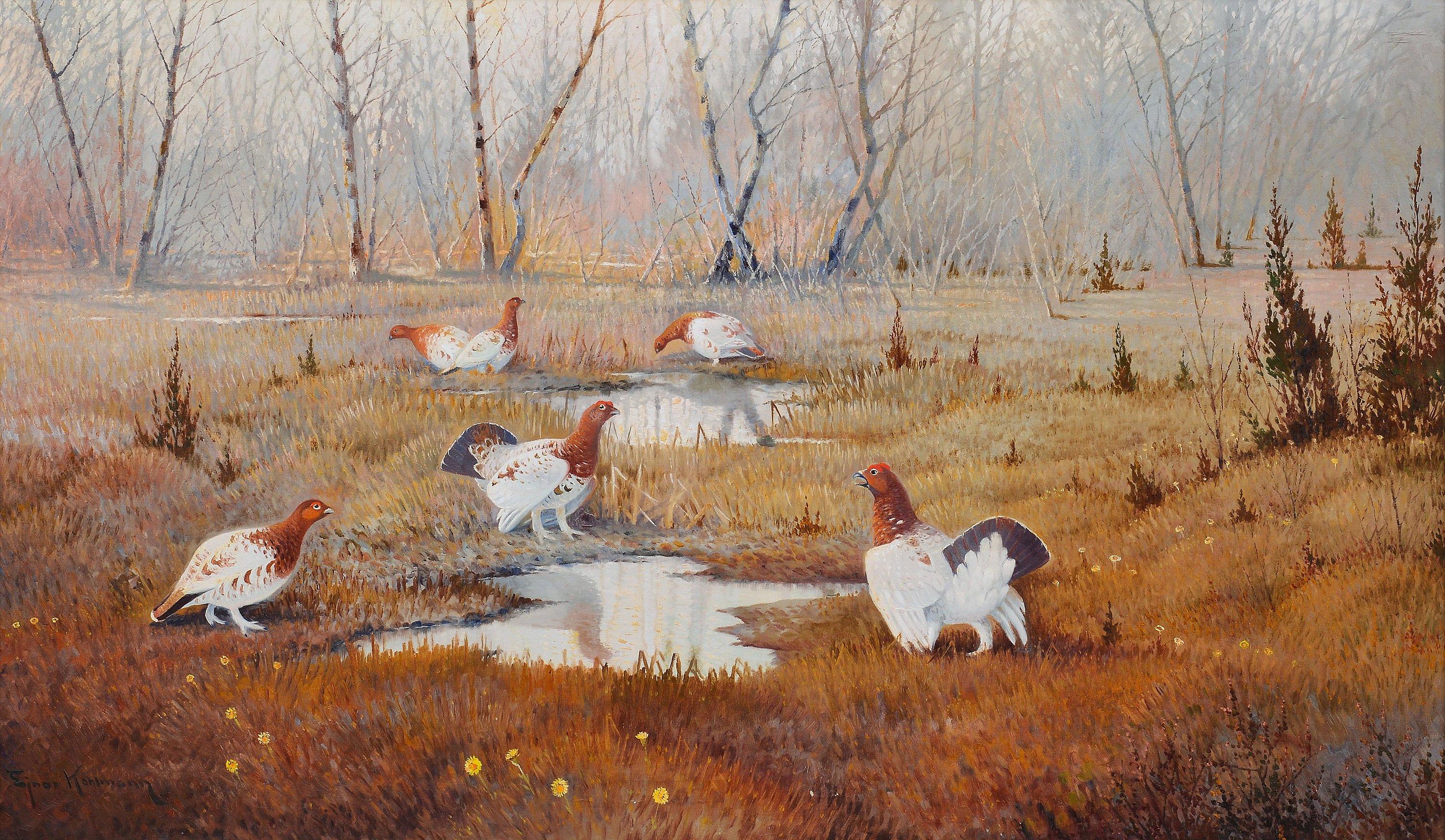 Ejnar Kohlmann - Forest Birds.