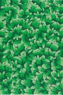 Ekrem Yalçindag - Ohne Titel ( M-3 )