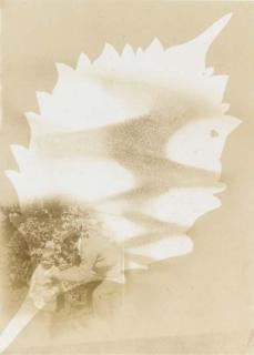 El Lissitzky - Self-Portrait With Child, 1924