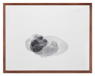 Elad Lassry - Challah, Croissant, Roll