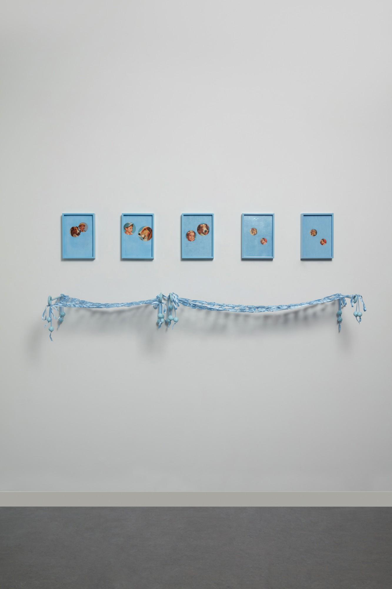 Elad Lassry - Collie (Boy), Blue