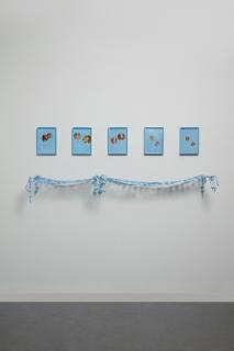 Elad Lassry - Collie (Boy), Blue