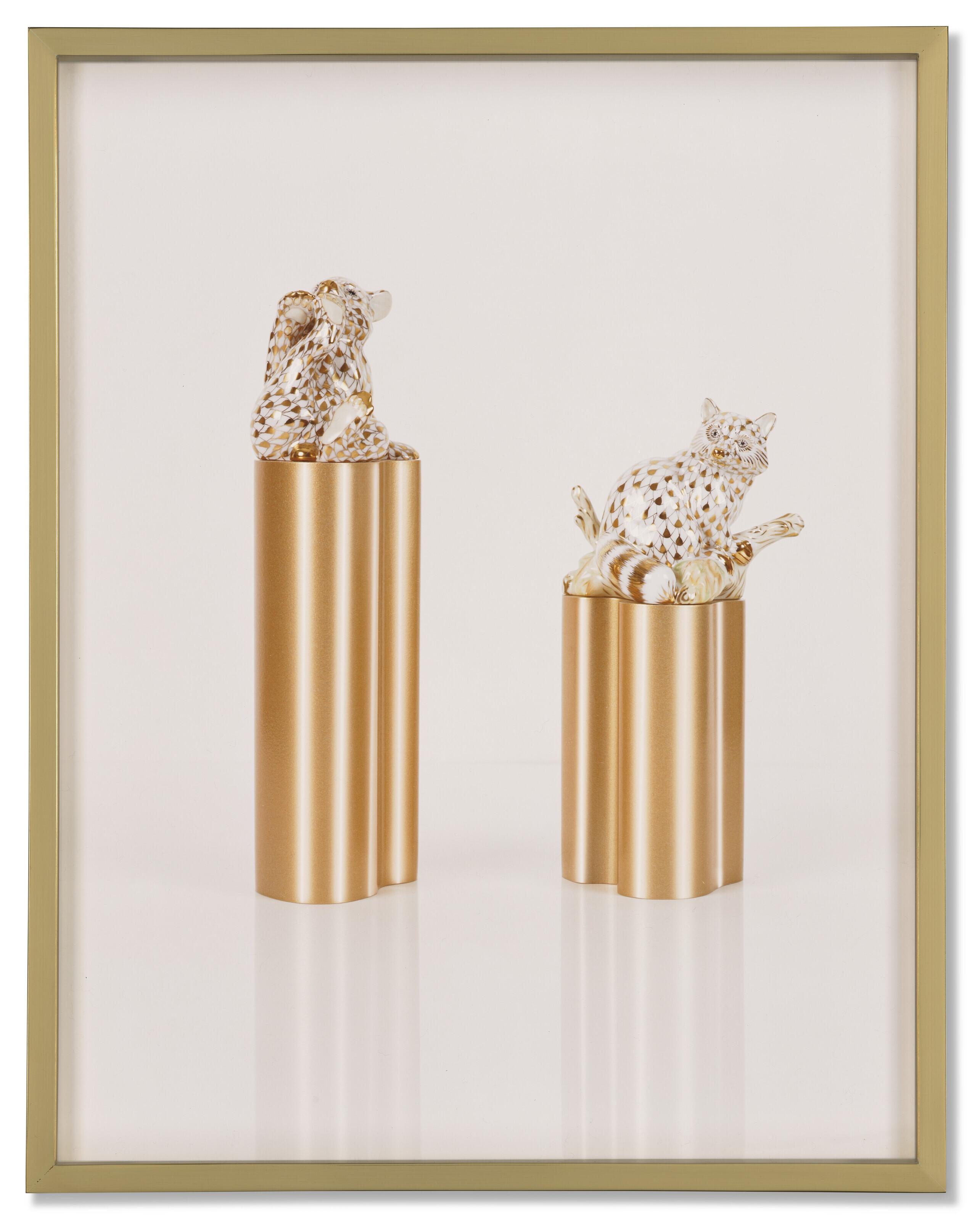 Elad Lassry - Cub, Raccoon