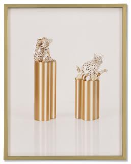 Elad Lassry - Cub, Raccoon