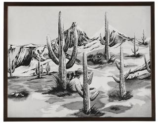 Elad Lassry - Desert