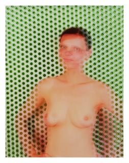 Elad Lassry - Guinevere (Green)
