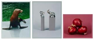 Elad Lassry - i.  Sea Lion ii. Two Elephants iii. Onions [Three Works]