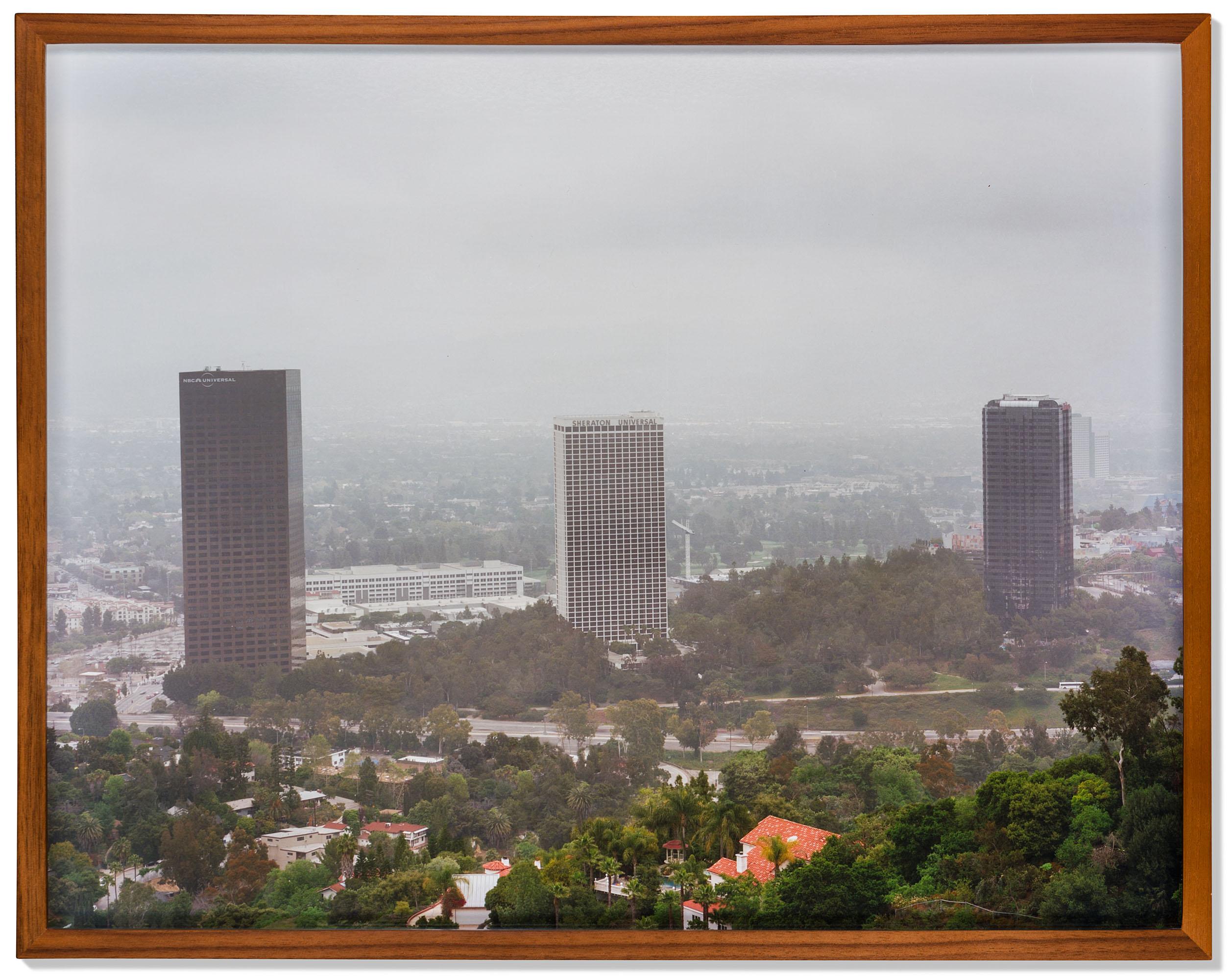 Elad Lassry - Landscape 91608