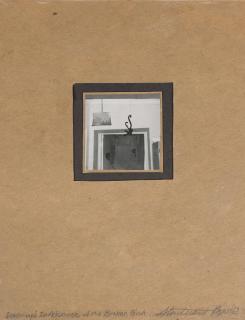 Elaine Sturtevant - Duchamp\'s in Advance of the Broken Arm