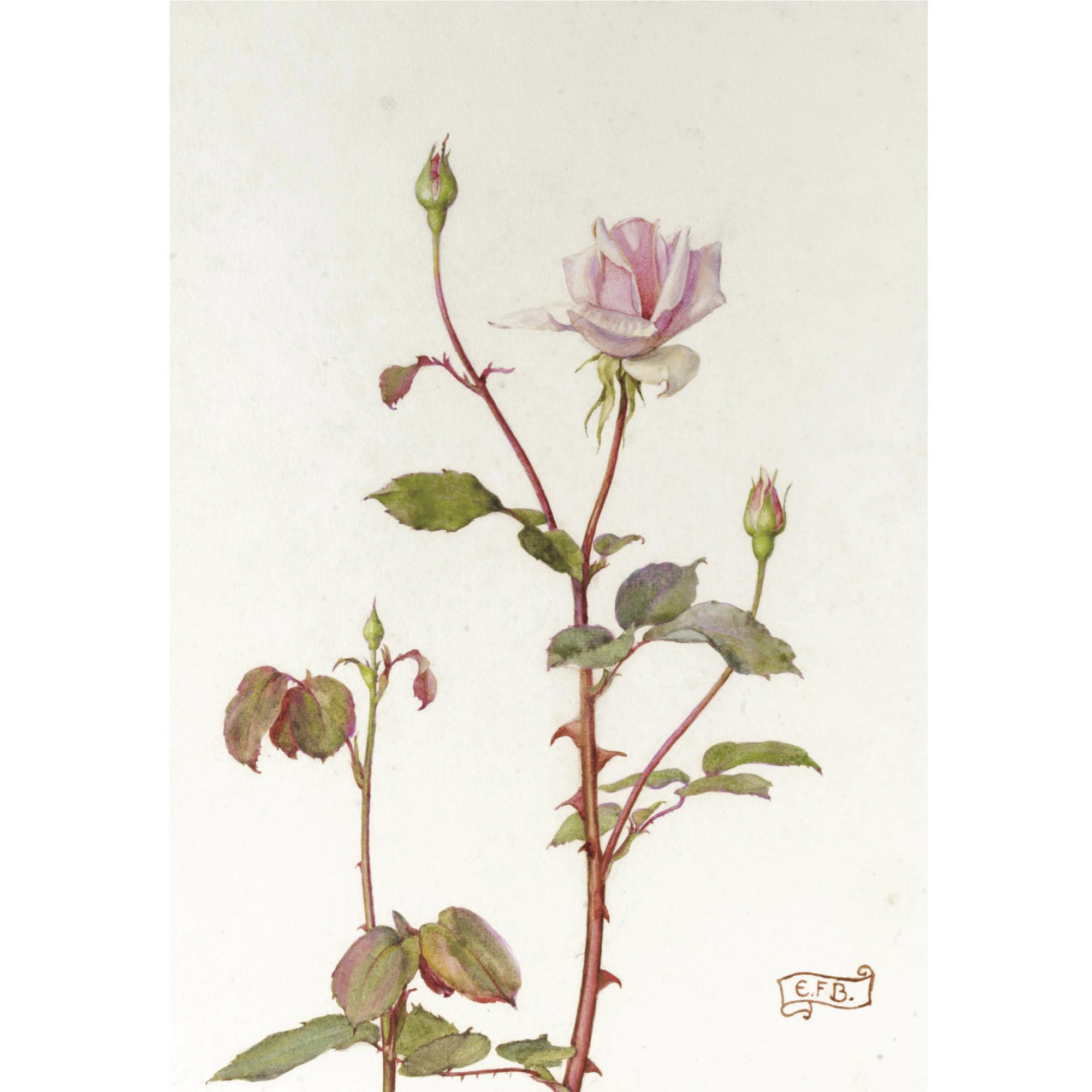 Eleanor Fortescue-Brickdale, R.W.S. - A Rose And Her Three Daughters