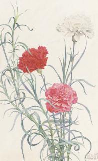 Eleanor Fortescue Brickdale, R.W.S. - Carnations (illustrated); and Lady Pirrie