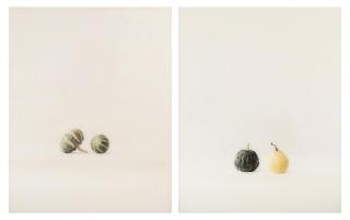 Elger Esser - Kürbis (Pumpkin)