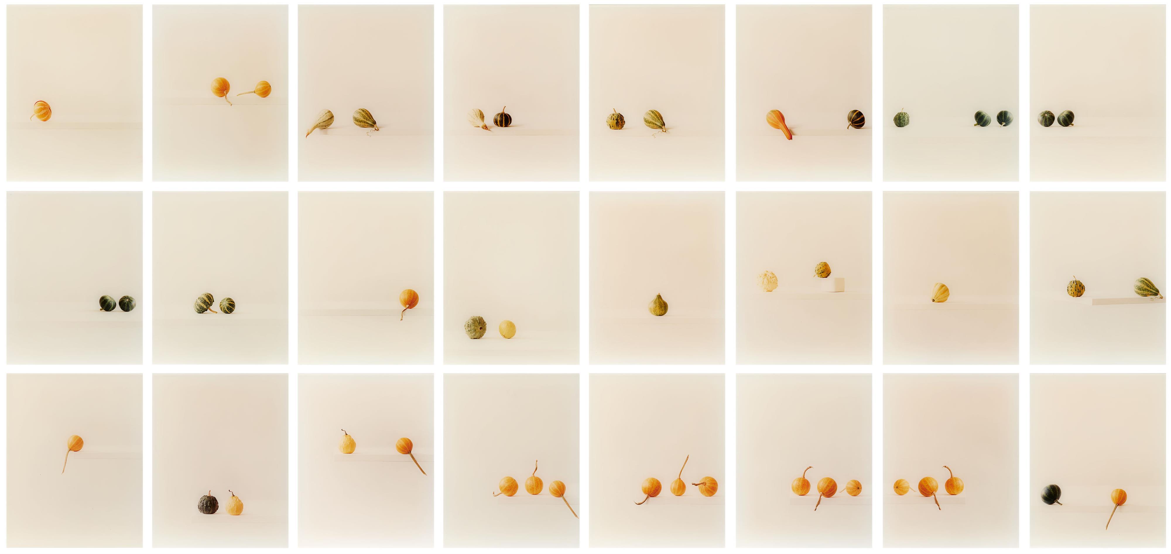 Elger Esser - Kürbisse