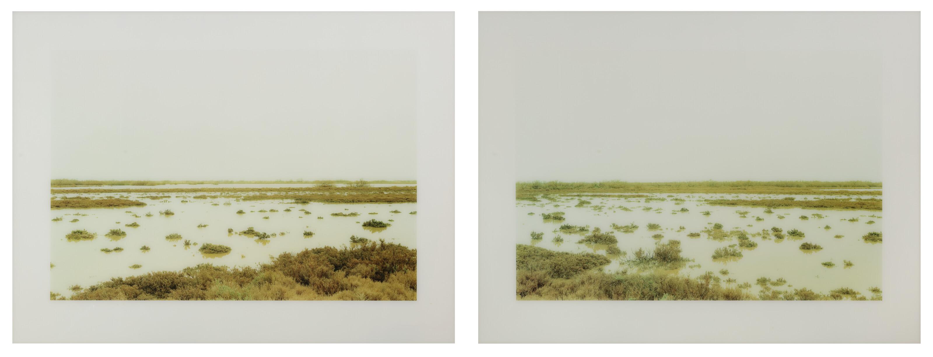 Elger Esser - Les Paradis I and II Frankreich