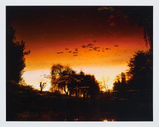 Elger Esser - Nocturnes à Giverny.